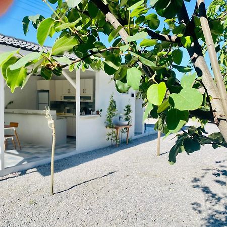 Airport Blue Eye Apartment: Convenient Dalaman Stopover Exterior photo